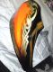 DSC00580.JPG