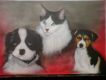 DSC00010.JPG