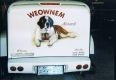 Dog_trailer.jpg