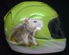 DSC00183.JPG